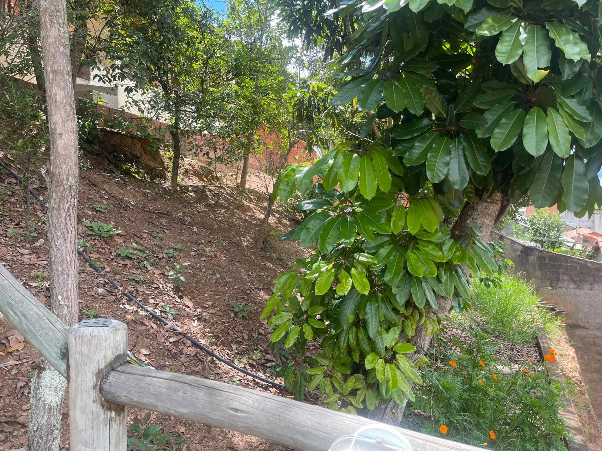 Chales Do Lago Cunha Exterior photo
